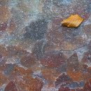 05 FFFK MA Geier Günter Gefangen im Eis 06